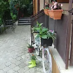 Гостевой дом Pensiunea Schwartz 3*