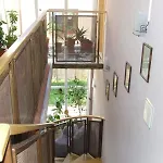 Pensiunea Schwartz 3* 클루지나포카