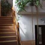 Pensiunea Schwartz 3* Клуж-Напока