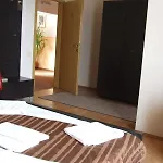 게스트하우스 Pensiunea Schwartz 3*