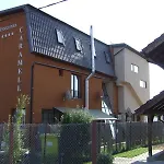 Гостевой дом Pensiunea Schwartz 3*