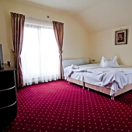 Guest house Pensiunea Schwartz