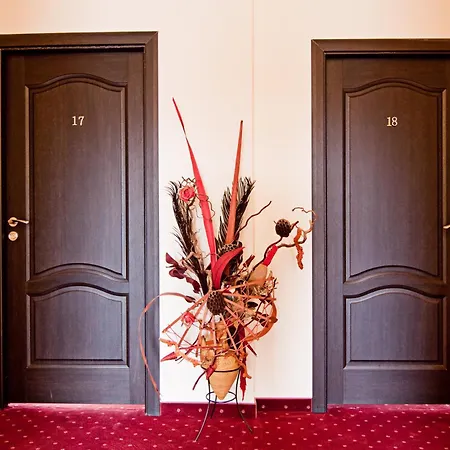 Maison d'hôtes Pensiunea Schwartz