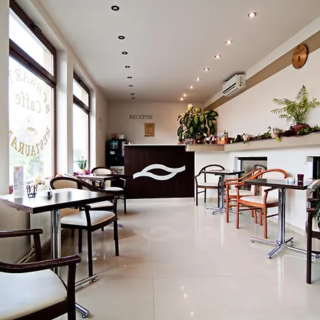 Maison d'hôtes Pensiunea Schwartz