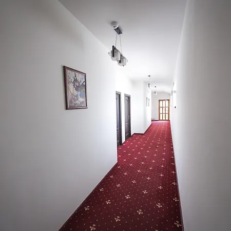 Pensiunea Schwartz Maison d'hôtes 3*