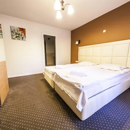 Pensión Pensiunea Schwartz 3*