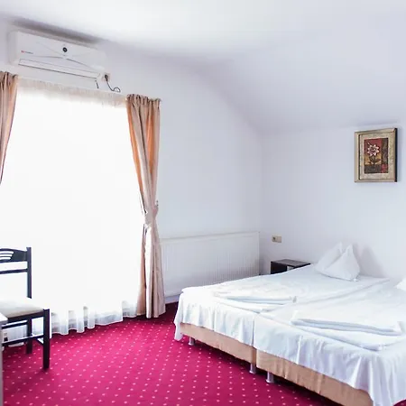 Гостьовий будинок Pensiunea Schwartz