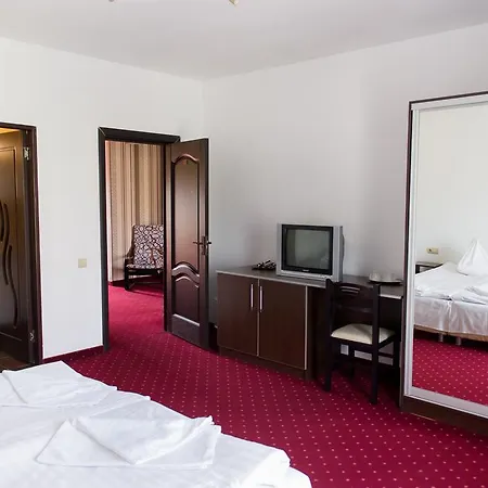 Pensiunea Schwartz Клуж-Напока