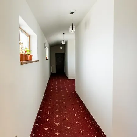 Penzion Pensiunea Schwartz Kluž