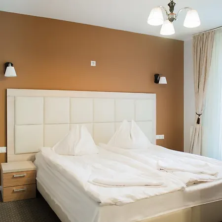 Guest house Pensiunea Schwartz