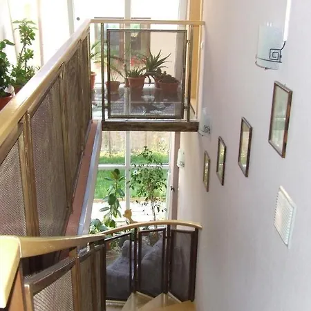 Pensiunea Schwartz 3* קלוז'-נאפוקה