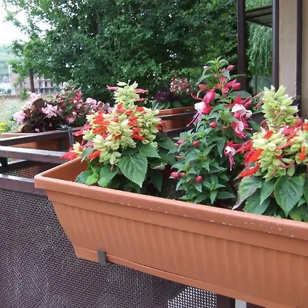 Гостьовий будинок Pensiunea Schwartz 3*