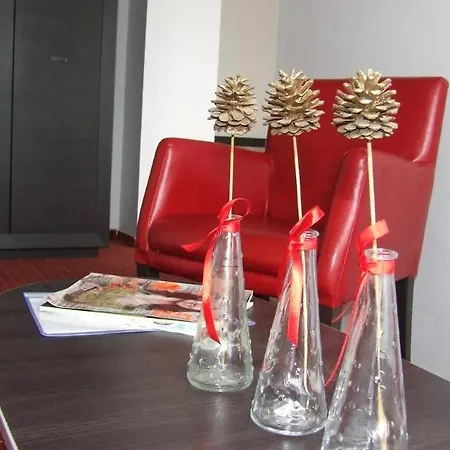 Guest house Pensiunea Schwartz 3*