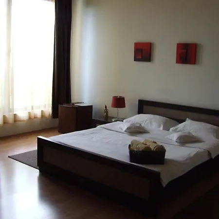 Guest house Pensiunea Schwartz 3*