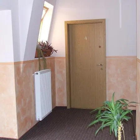 Pensiunea Schwartz 3* Клуж-Напока