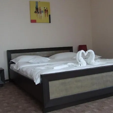 Guest house Pensiunea Schwartz 3*