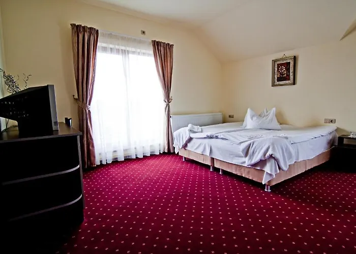 Konukevi Pensiunea Schwartz