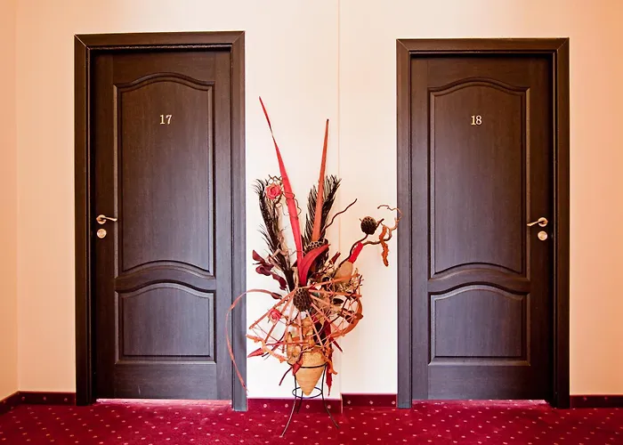 בית הארחה Pensiunea Schwartz