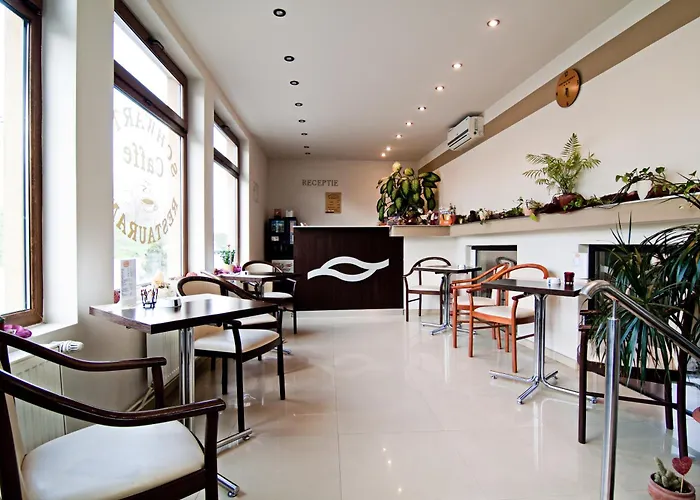 בית הארחה Pensiunea Schwartz