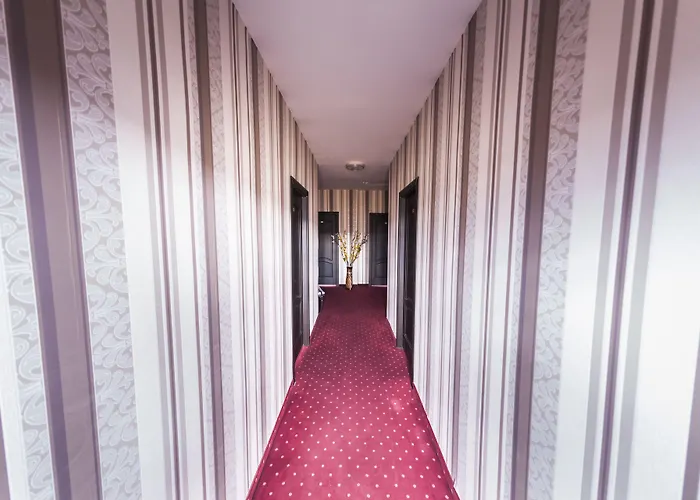 Pensiunea Schwartz Maison d'hôtes Cluj-Napoca