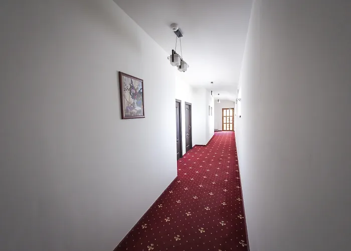 Pensiunea Schwartz Maison d'hôtes 3*