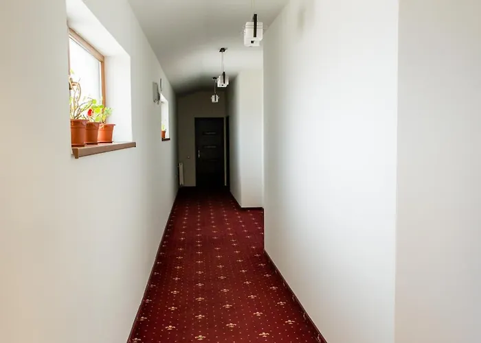 Pensiunea Schwartz Konukevi