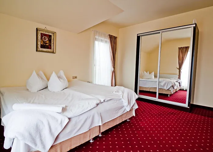 Pensiunea Schwartz בית הארחה