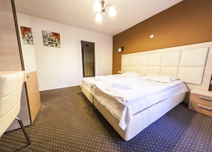 Maison d'hôtes Pensiunea Schwartz 3*