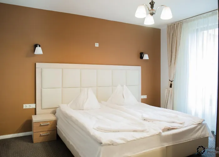 Pensiunea Schwartz Konukevi 3*