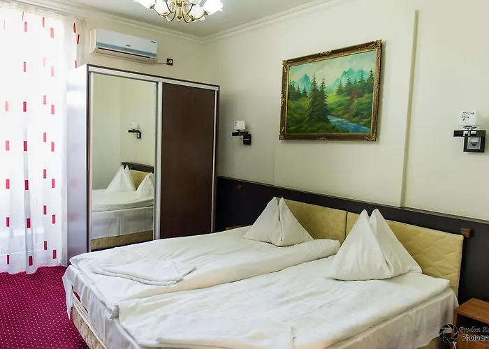 Pensiunea Schwartz Cluj-Napoca