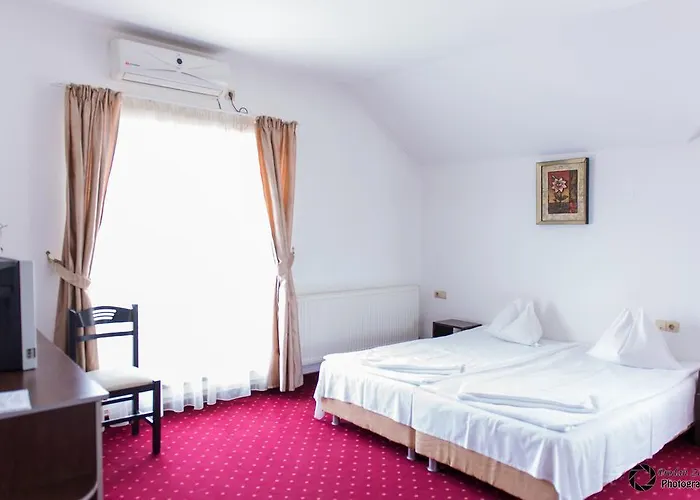 Maison d'hôtes Pensiunea Schwartz