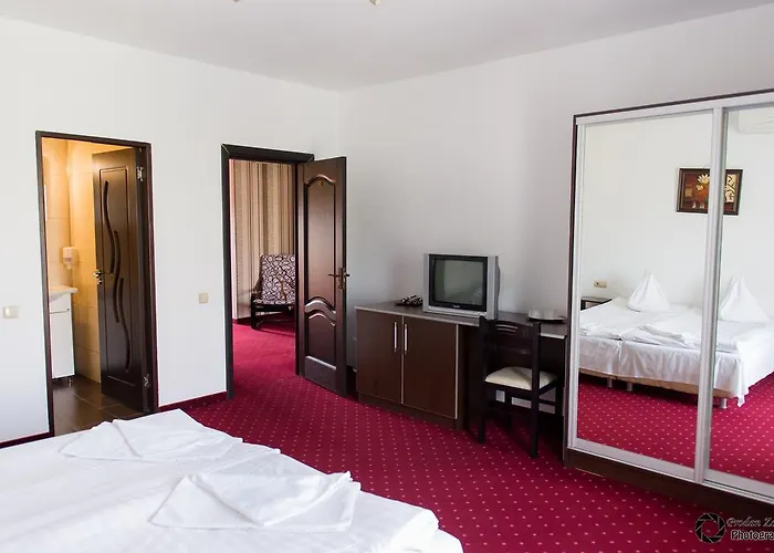 Pensiunea Schwartz Cluj-Napoca