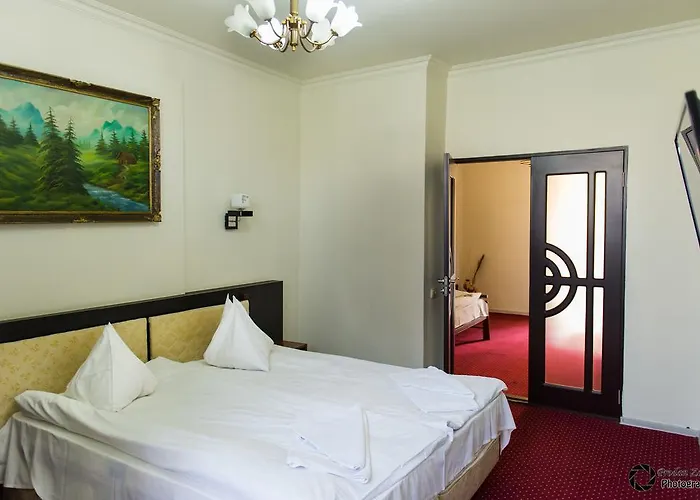 Pensiunea Schwartz Pensión 3*