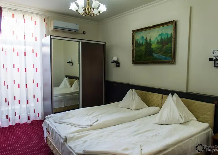 Pensiunea Schwartz 3*