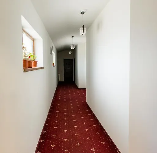 Pensionat Pensiunea Schwartz Cluj-Napoca