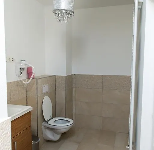 Pensiunea Schwartz Maison d'hôtes 3*