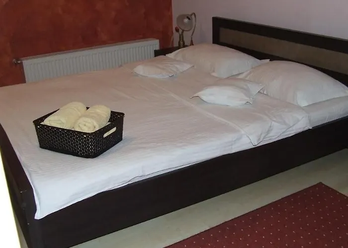 Maison d'hôtes Pensiunea Schwartz 3*