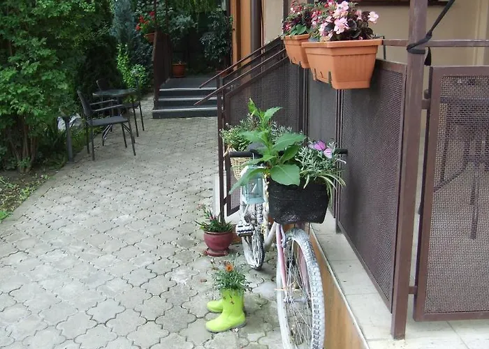 Maison d'hôtes Pensiunea Schwartz 3*