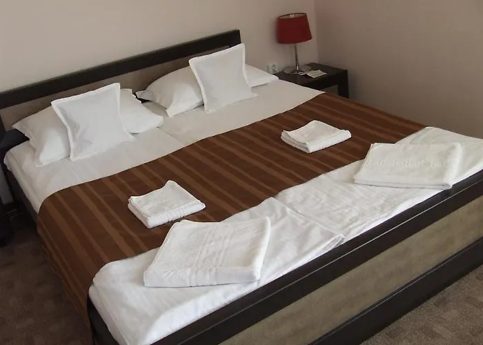 Pensiunea Schwartz 3* Cluj-Napoca