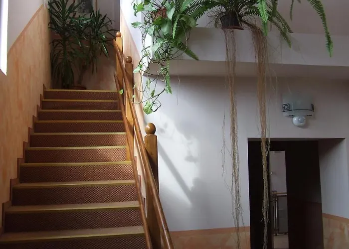 Pensiunea Schwartz 3* Kaloşvar