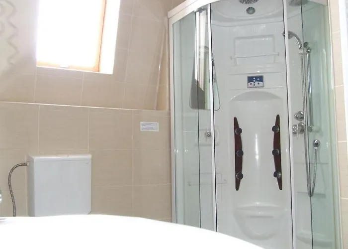 Pensiunea Schwartz 3* Cluj-Napoca